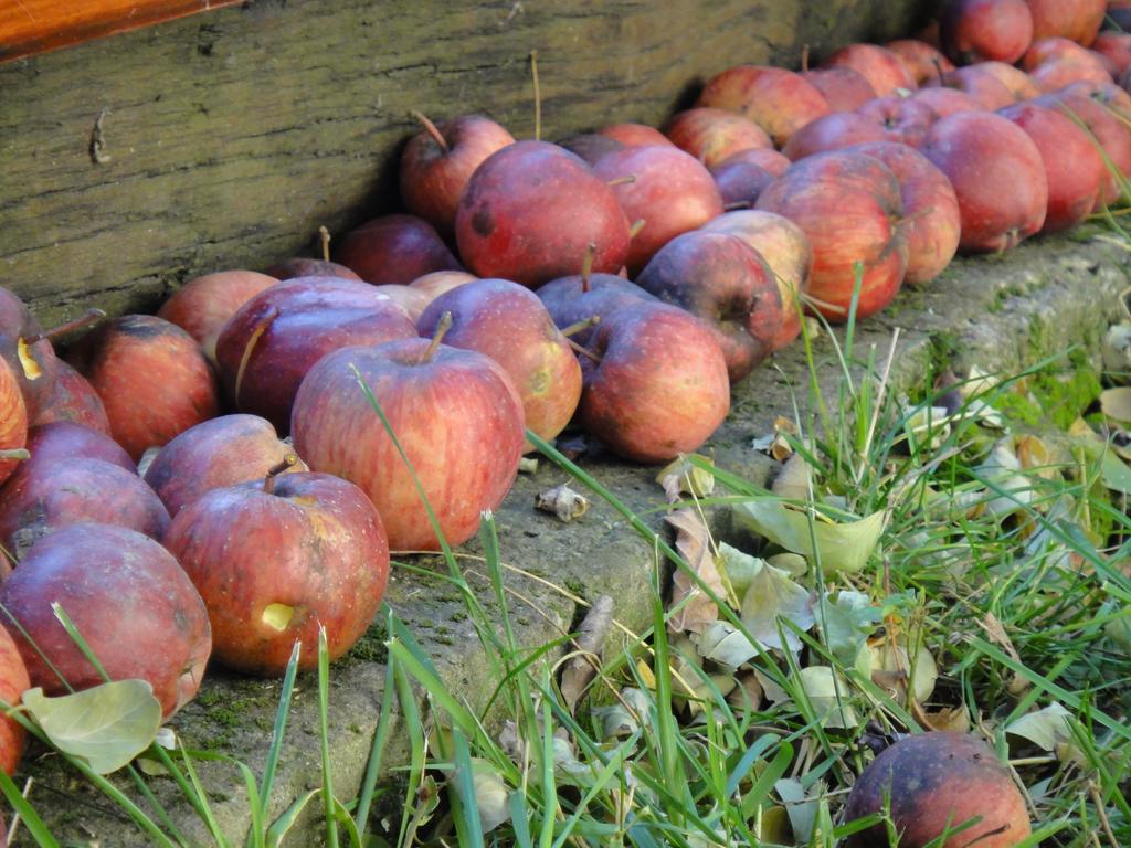 Appartamento Dominic Boutique Sighişoara Esterno foto